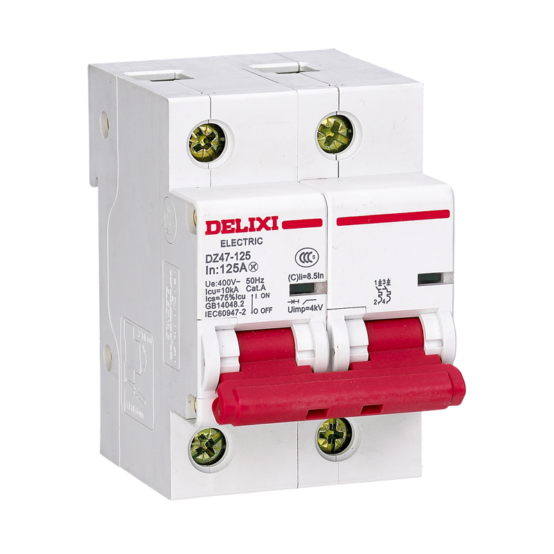 DZ47-125 High-Current Circuit Breaker